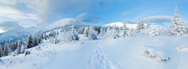 Paesaggio di montagna invernale di mattina con bosco di abeti sul pendio.