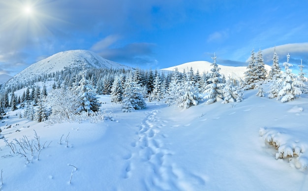 Paesaggio di montagna invernale di mattina con bosco di abeti sul pendio.