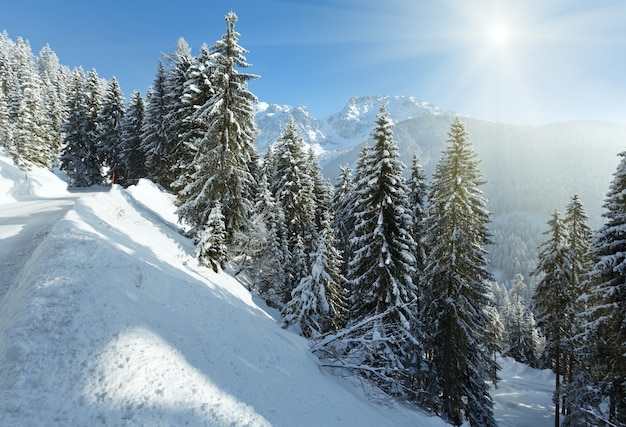 Paesaggio di montagna invernale di mattina con foresta di abeti e strada di campagna sul pendio.