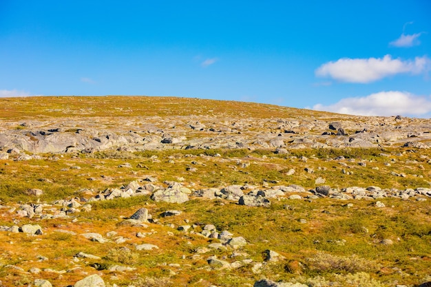 Paesaggio di montagna Lapponia in autunno Bella natura della Norvegia