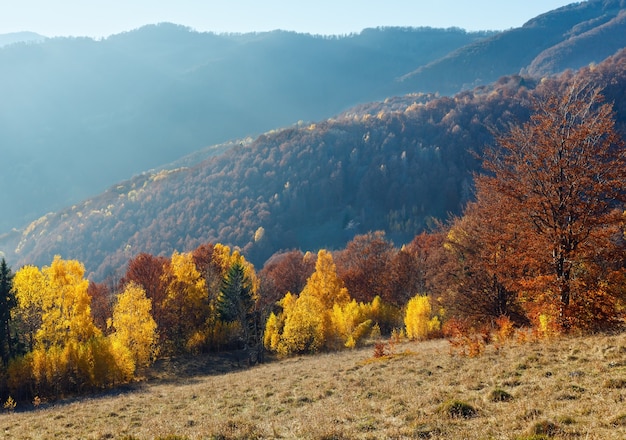 Paesaggio di montagna nebbioso autunno con alberi colorati sul pendio.