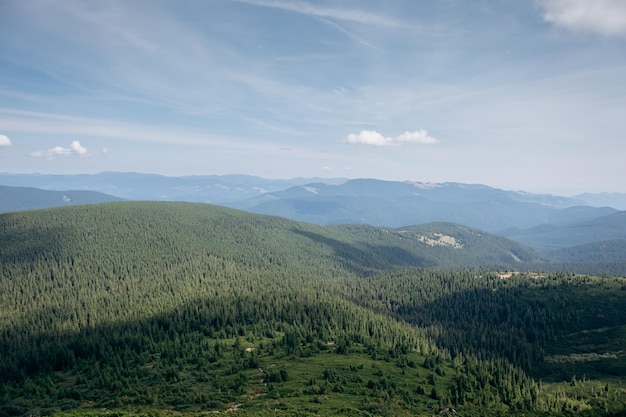 Paesaggio di montagna nei Carpazi ucraini in estate