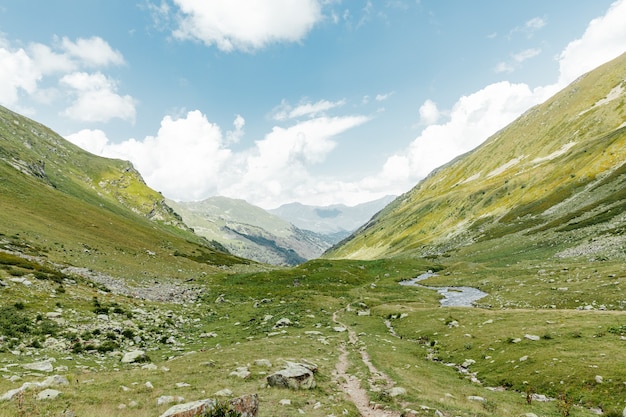 Paesaggio di montagna. Paesaggio con montagne, foreste e fiume di fronte. Bel paesaggio