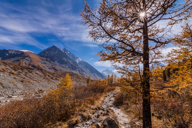 Paesaggio di montagna panoramico in autunno Monti Altai