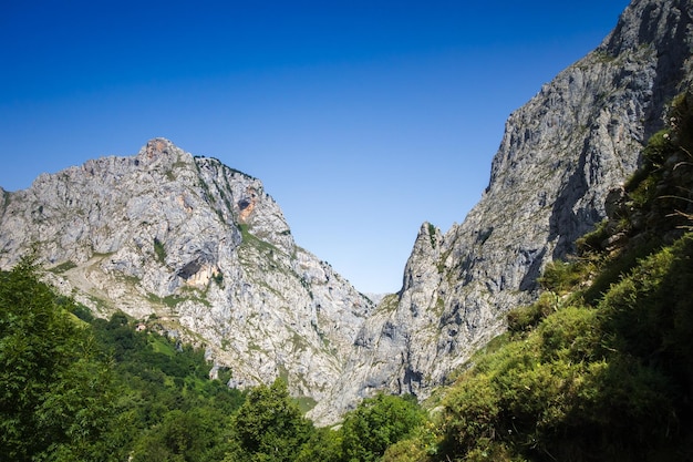 Paesaggio di montagna Picos de Europa Asturias Spagna