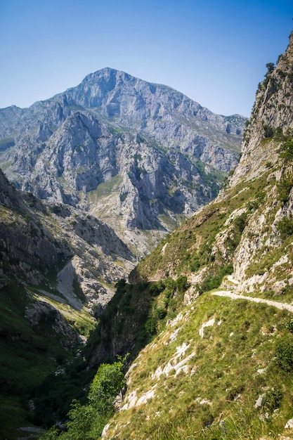 Paesaggio di montagna Picos de Europa Asturias Spagna