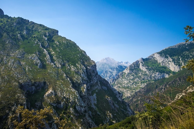 Paesaggio di montagna Picos de Europa Asturias Spagna