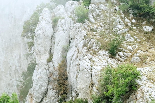 Paesaggio di montagna Roccia di pietra sulla cima di una montagna nella nebbia con alberi di conifere