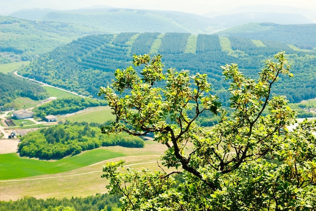 paesaggio di montagna