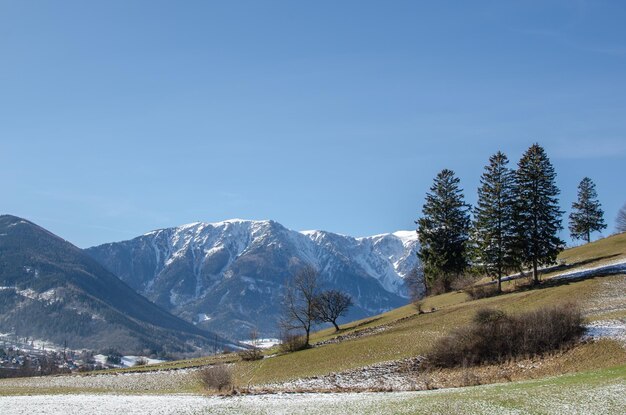 Paesaggio di montagna