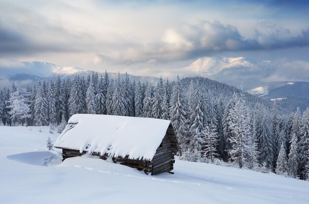 Paesaggio di Natale