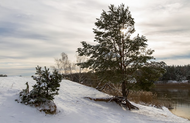 Paesaggio di natura innevata