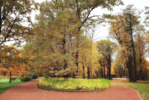 Paesaggio di ottobre / autunno nel parco, alberi gialli di ottobre, vicolo nel paesaggio autunnale