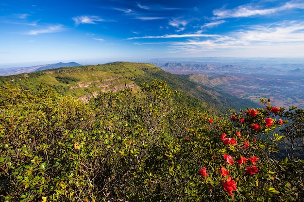 Paesaggio di Pha-Ta Lern, santuario della fauna selvatica di Phu Luang, provincia di Loei Tailandia.