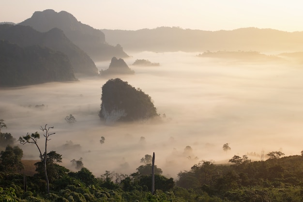 Paesaggio di Phu langka (montagna di lang ka) a tempo la mattina nella provincia di Phayao.
