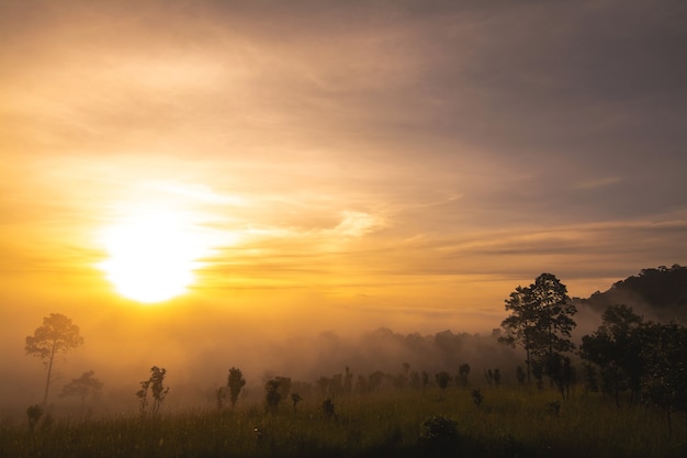 Paesaggio di prati e alberi nel Parco Nazionale di Thung Salaeng Luang