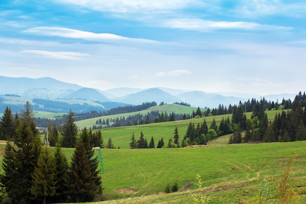 Paesaggio di prati verdi con abeti e montagne