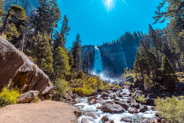 Paesaggio di primaverile cade dal fondo una mattina d'estate. California, Stati Uniti