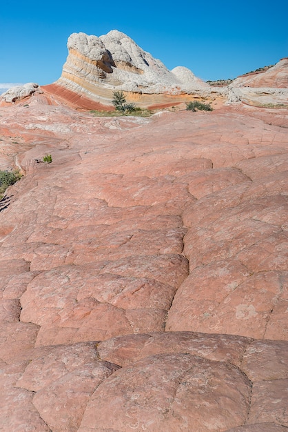 Paesaggio di Rock Desert, White Pocket in Arizona