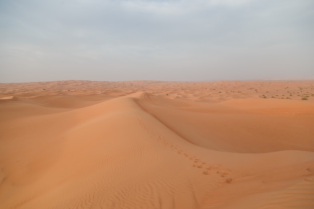 Paesaggio di sfondo del deserto