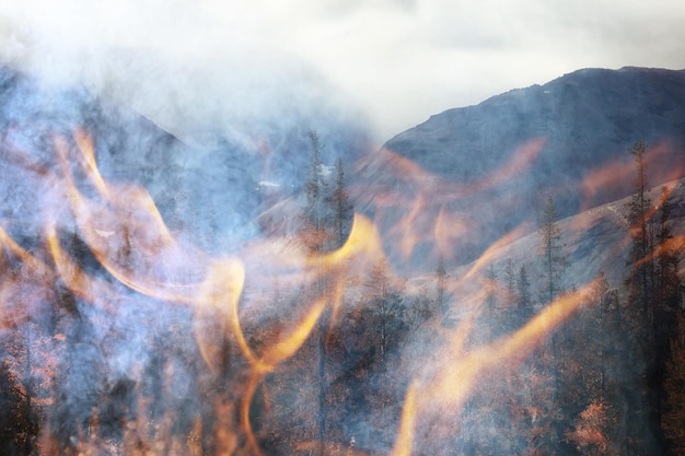 paesaggio di sfondo dell'incendio di foresta, fuoco astratto e fumo nella foresta, gli alberi di siccità stanno bruciando