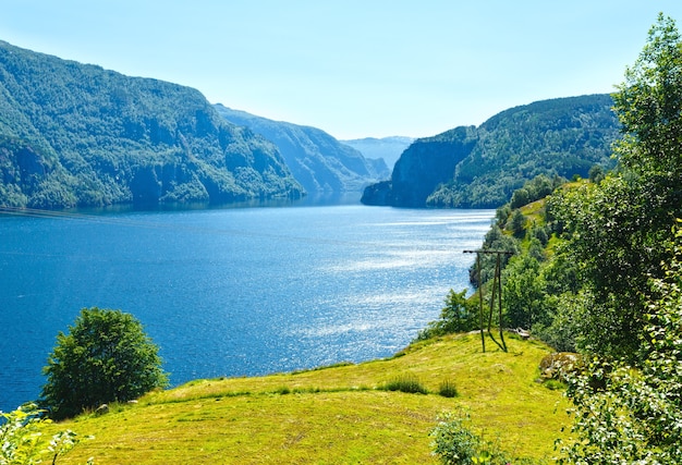 Paesaggio di Suldalsvatn del lago della montagna di estate