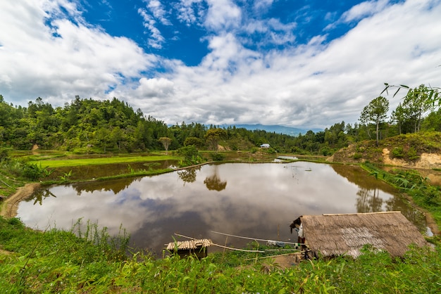 Paesaggio di Toraja e villaggio tradizionale in Sulawesi Indonesia