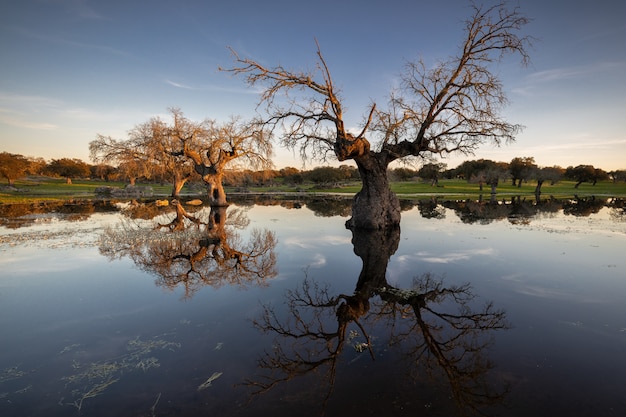 Paesaggio di tramonto in una laguna vicino a Arroyo de la Luz. Extremadura. Spagna.