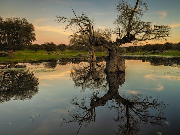 Paesaggio di tramonto in una laguna vicino a Arroyo de la Luz. Extremadura. Spagna.