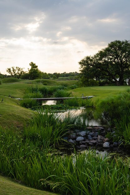 Paesaggio di un campo verde con un fiume in mezzo al tramonto verticale