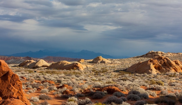 Paesaggio di un deserto di montagna rocciosa con cespugli secchi e grandi rocce sotto il cielo nuvoloso scuro