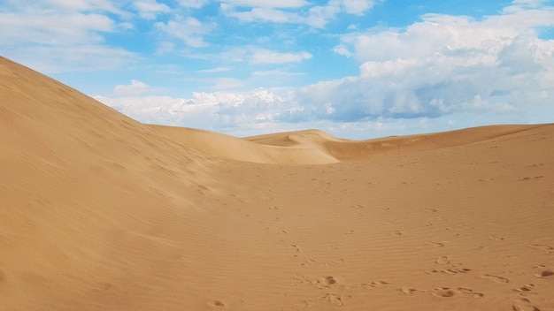 Paesaggio di un deserto durante il giorno