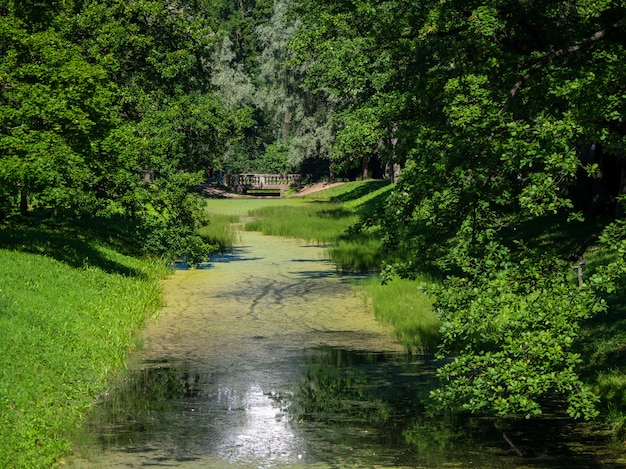 Paesaggio di un fiume in un parco verde