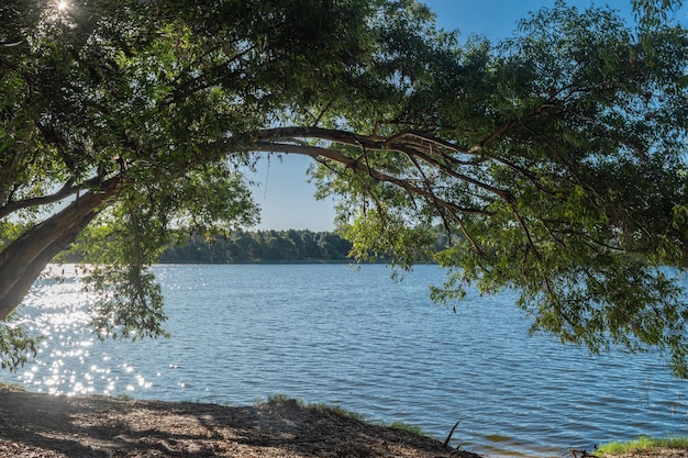 Paesaggio di un lago a Canelones Uruguay