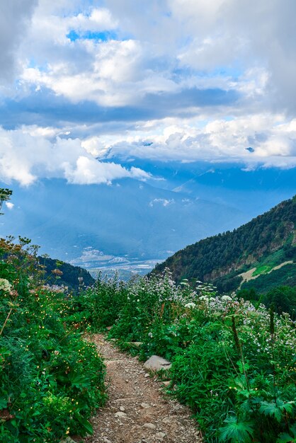 Paesaggio di un pendio di montagna ricoperto di erba