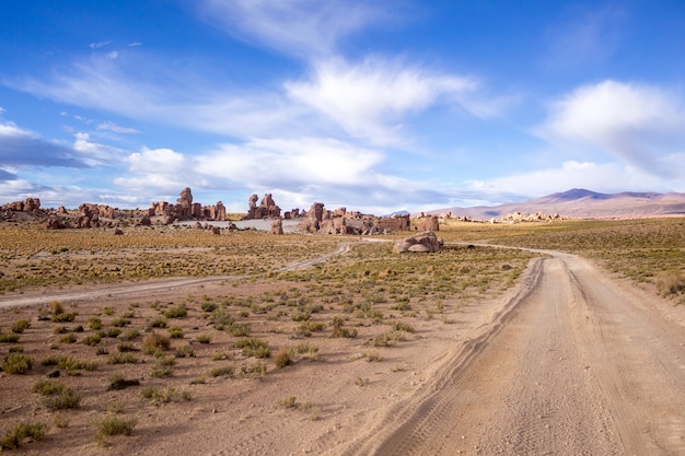 Paesaggio di un sentiero nel deserto