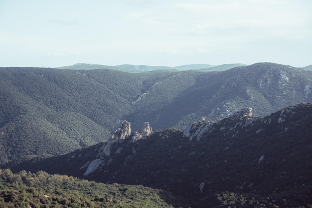 Paesaggio di una catena di montagne con foresta in una giornata di sole