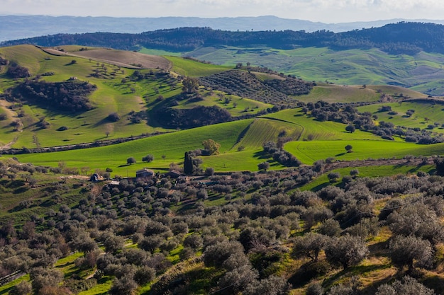 Paesaggio di valle e campi a Morgantina