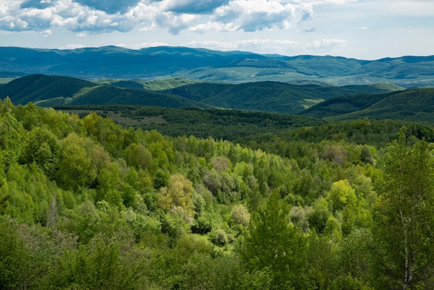 Paesaggio di viaggio. Campagna di collina o montagna. Vista panoramica erbosa. Legno al panorama della natura.