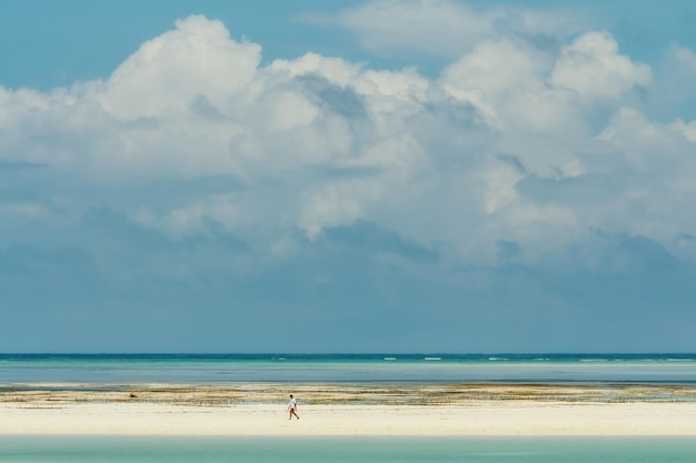 Paesaggio di Zanzibar. Bel cielo con le nuvole. acqua turchese dell'oceano e spiaggia di sabbia bianca.