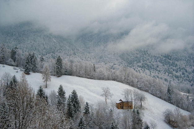 Paesaggio dopo la nevicata