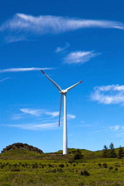 Paesaggio e cielo blu delle turbine eoliche di Eco power