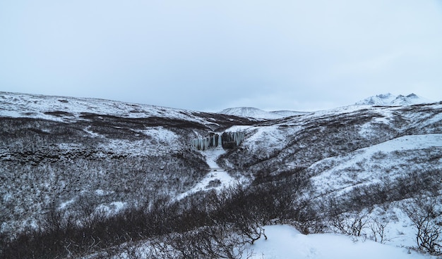 Paesaggio e montagne innevate dell'Islanda con la cascata ghiacciata di Svartifoss in lontananza