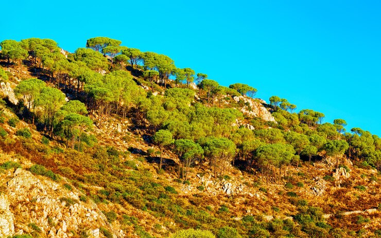 Paesaggio e uno splendido scenario con le montagne. Panorama nell'isola d'Italia della Sardegna del sud. Sardegna in estate. provincia di Cagliari. Tecnica mista.