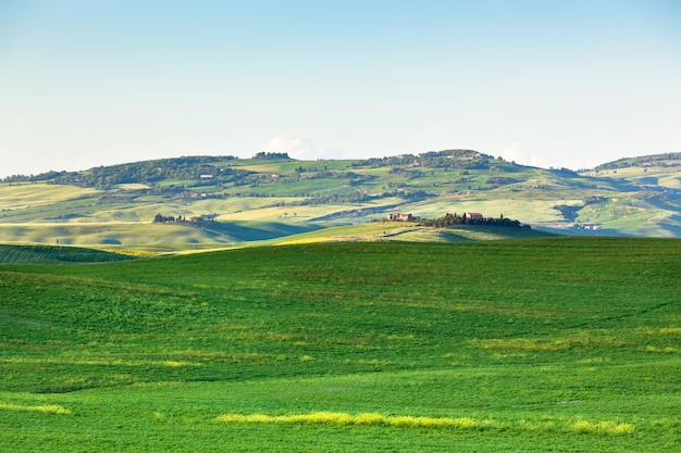 Paesaggio esterno delle colline toscane