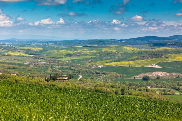 Paesaggio esterno delle colline toscane