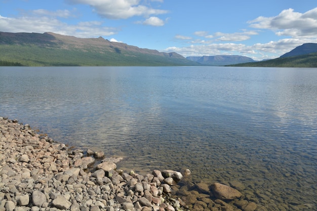 Paesaggio estivo a nord del lago