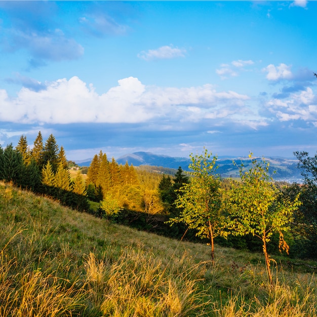 Paesaggio estivo colorato