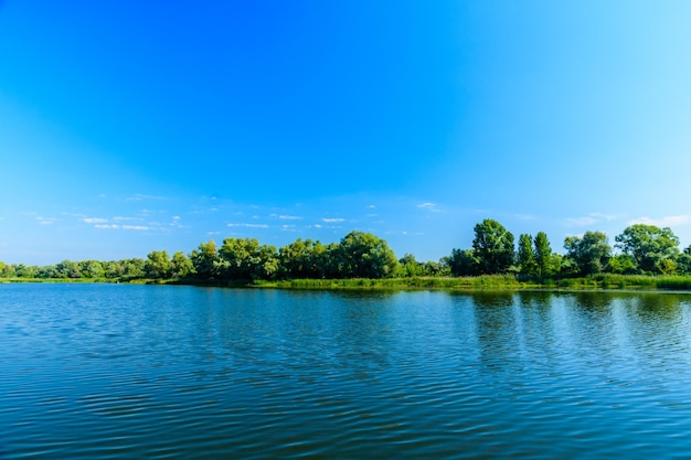 Paesaggio estivo con alberi verdi e fiume