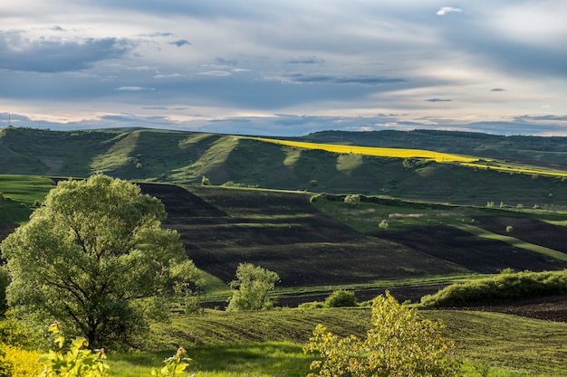 Paesaggio estivo con bellissime colline